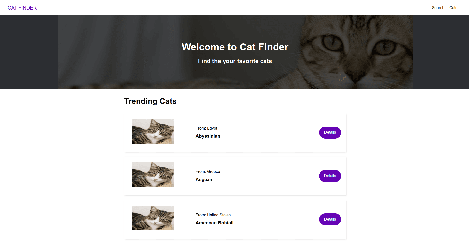 Cat Finder